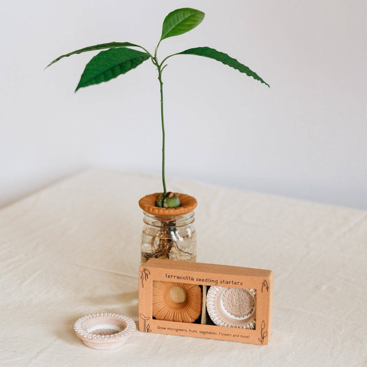 Ten Thousand Villages - Bija Floral Seed Sprouter Set