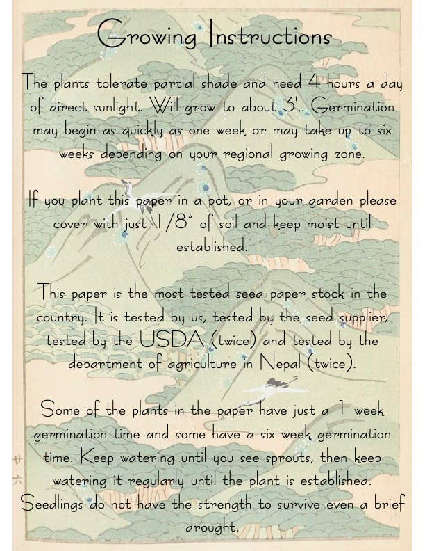 Marissa Kay Apothecary - Plantable Seed Card || Zero Waste || Supports Women J48