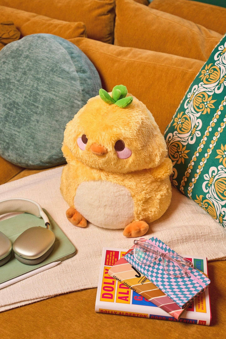 Duck Plush Buddy Carepackage