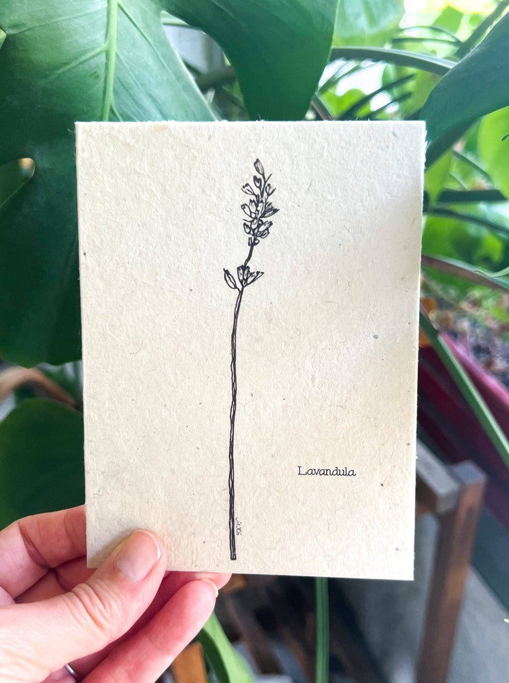 Marissa Kay Apothecary - Plantable Seed Card || Zero Waste || Supports Women MVW28