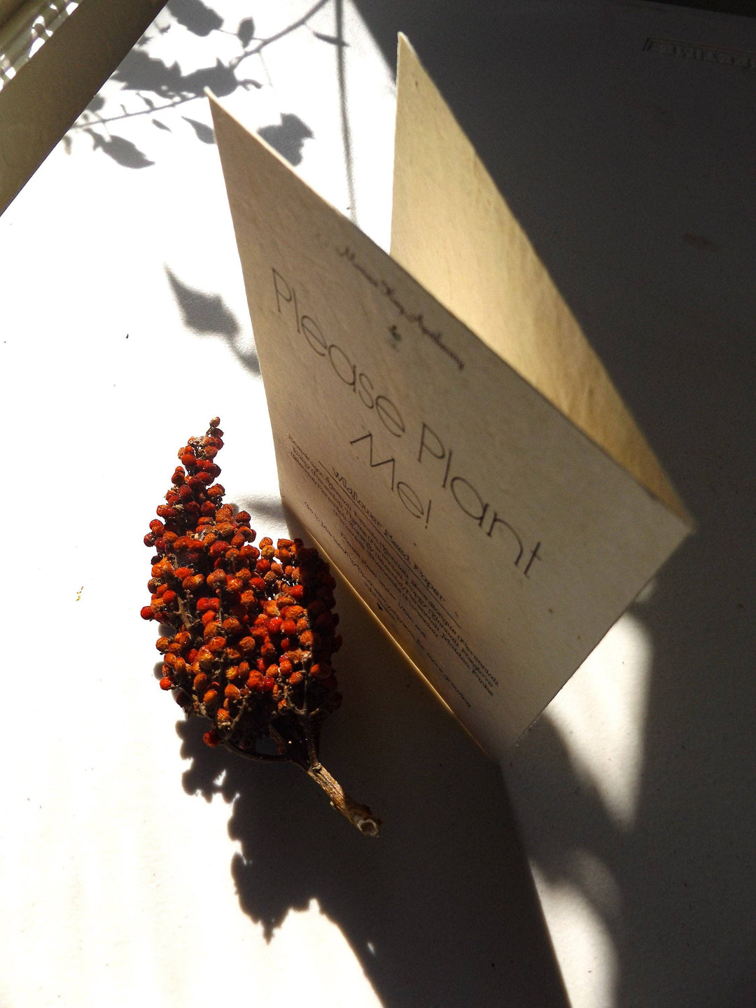 Marissa Kay Apothecary - Seed Paper Cards || Blank Or Personalized Insert