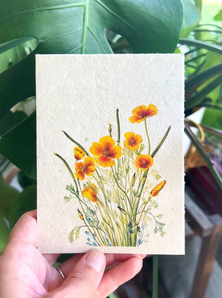 Marissa Kay Apothecary - Plantable Seed Card || Zero Waste || Supports Women MVW8