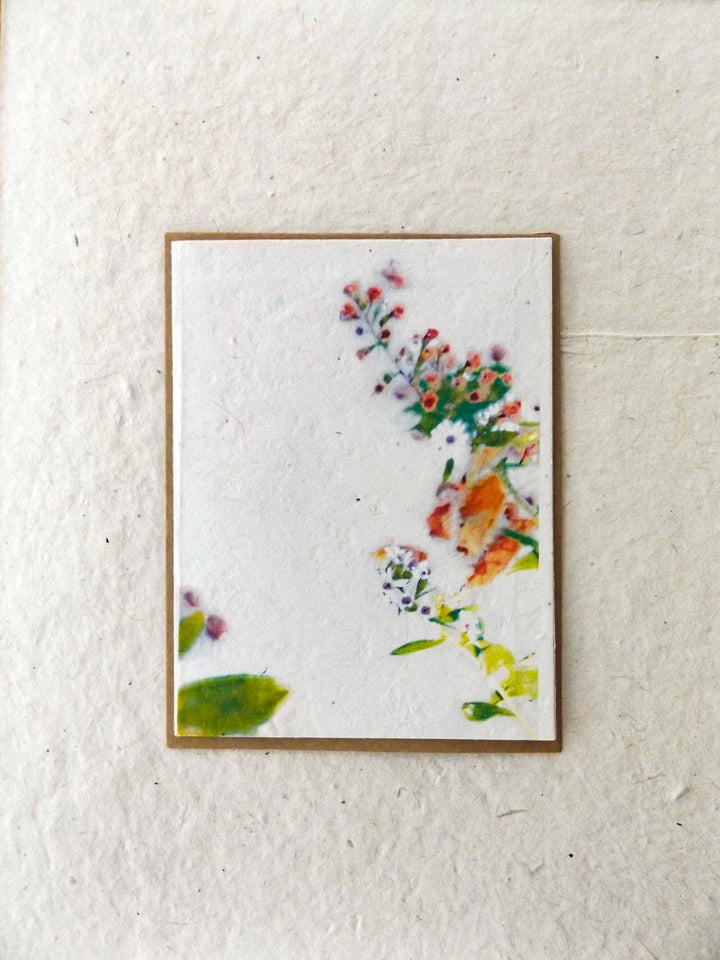 Marissa Kay Apothecary - Seed Paper Cards || Blank Or Personalized Insert