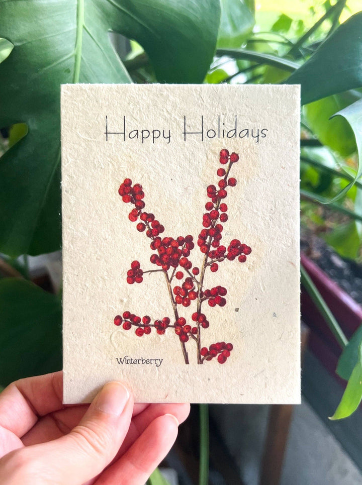 Marissa Kay Apothecary - Plantable Seed Card || Zero Waste || Supports Women MVW57