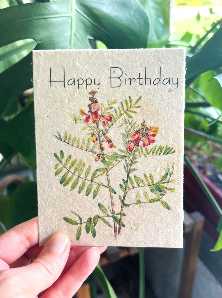 Marissa Kay Apothecary - Plantable Seed Card || Zero Waste || Supports Women MVW52