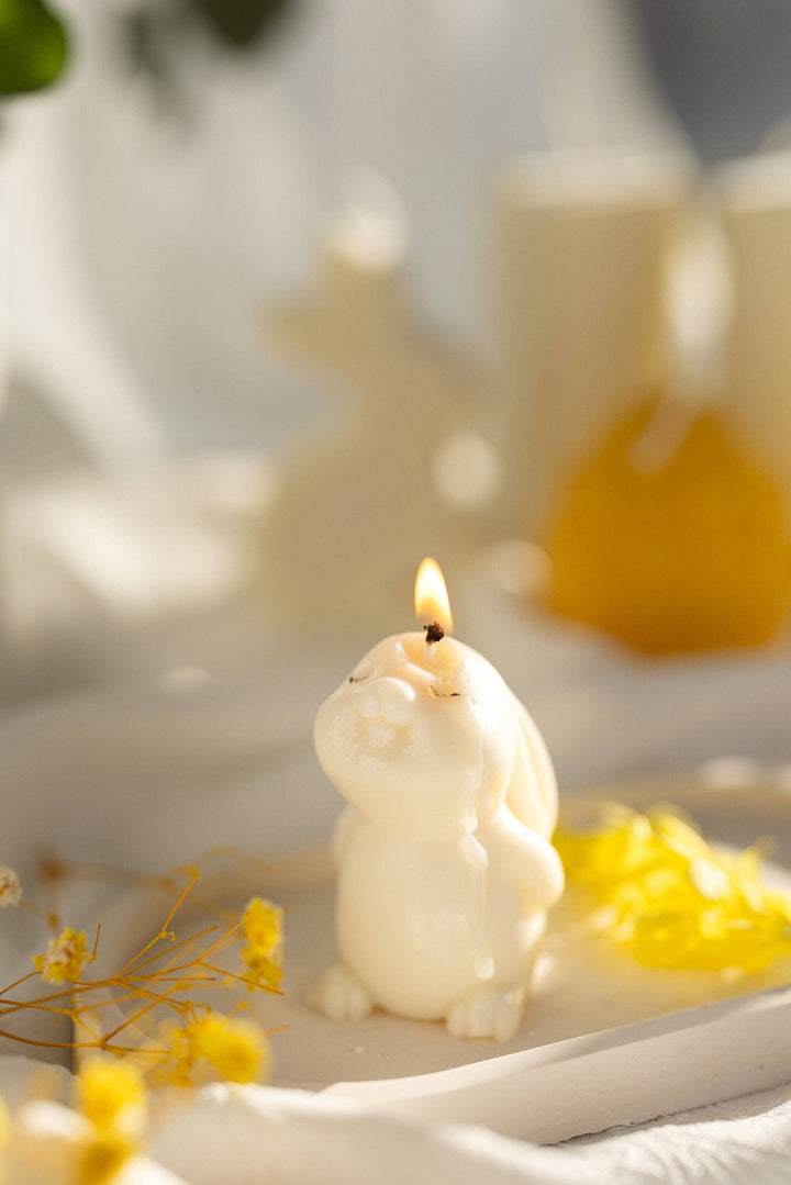 MySunshineCandless - Cute Little Rabbit candle/Easter bunny candle/Gifts for her