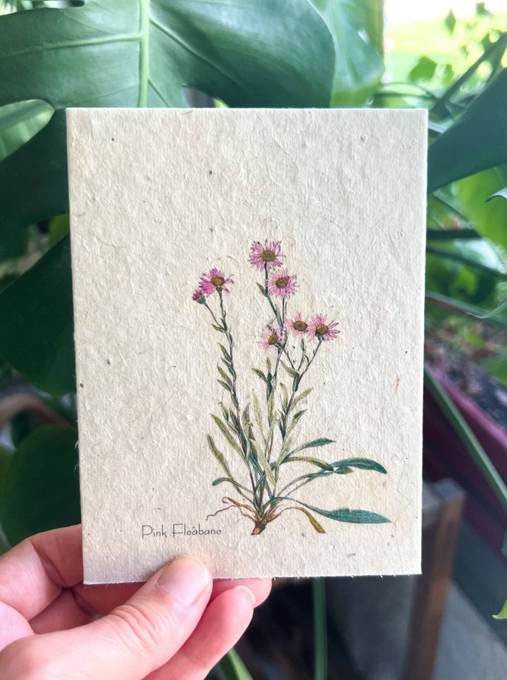 BUNDLE: Everlasting Blooms & Eco-Friendly Keepsake Card