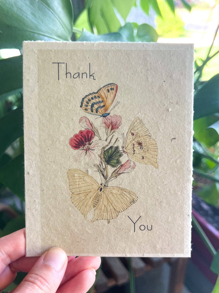 Marissa Kay Apothecary - Plantable Seed Card || Zero Waste || Supports Women MVW70