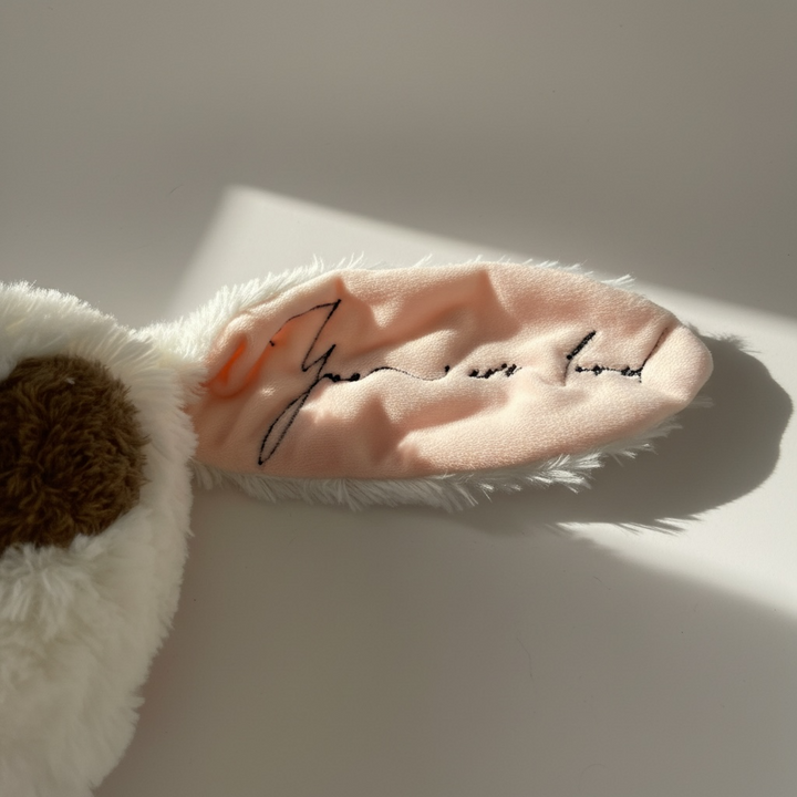 Embroidered Bunny Gift Box | “You Are Loved” Plush + Seeded Card | Thinking of You, Get Well, Sympathy Gift