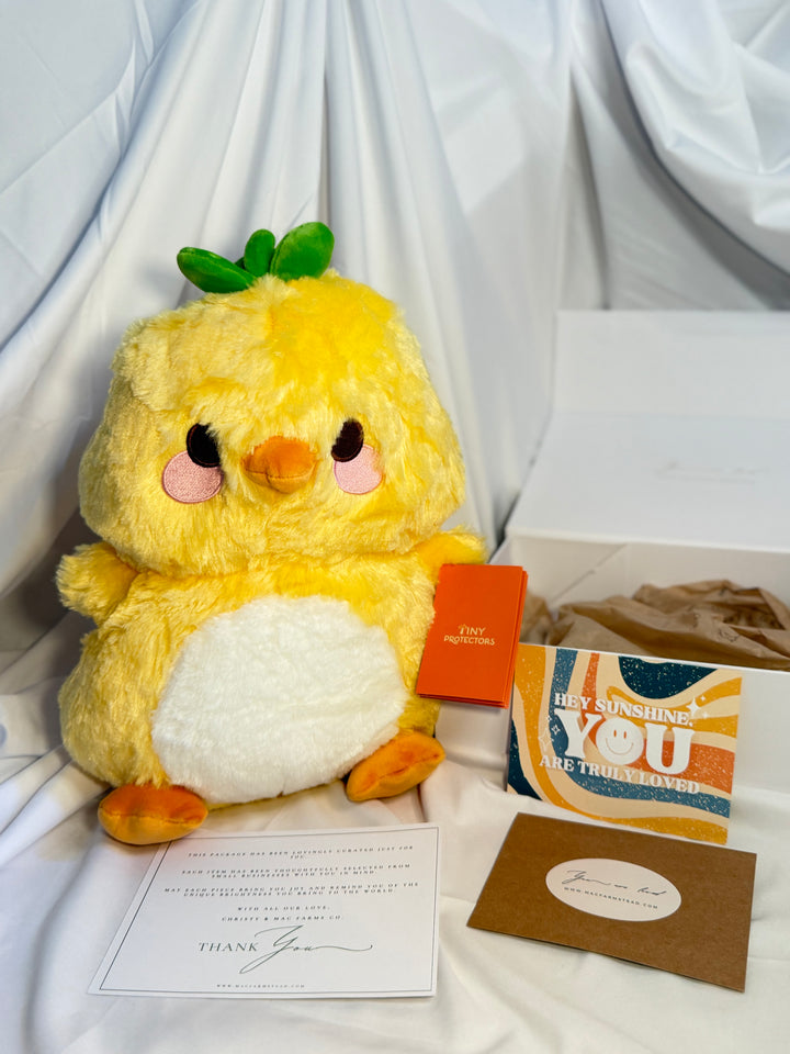 Duck Plush Buddy Carepackage