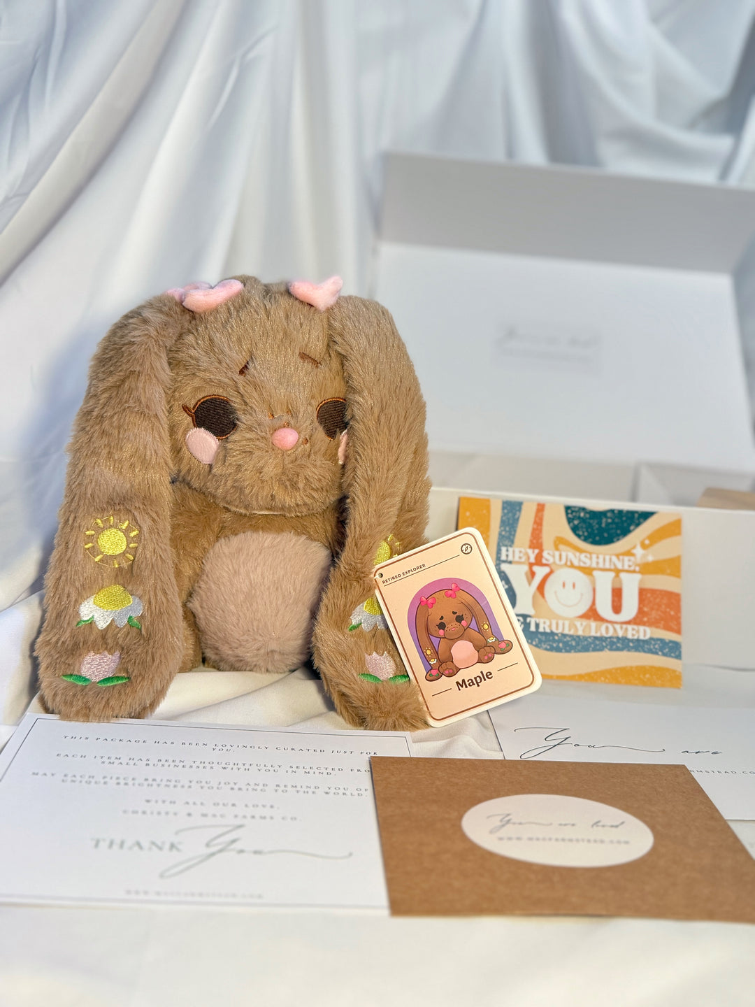Maple Bunny Heatable Barnyard Buddy Care Package