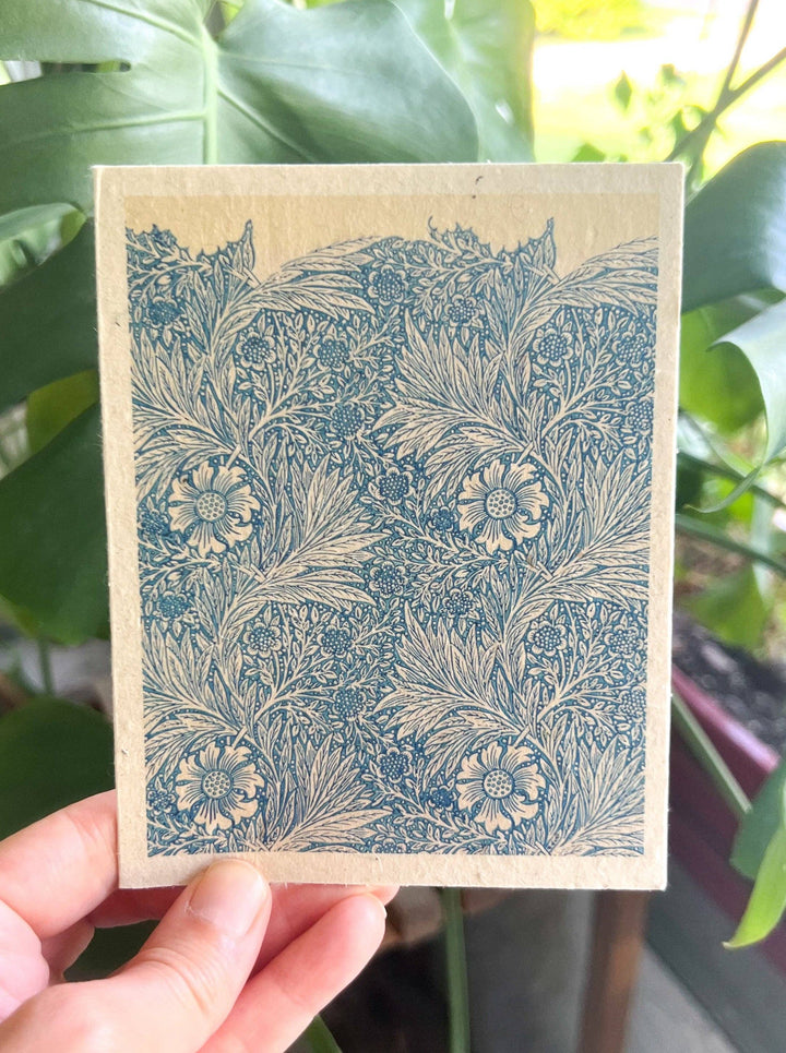 Marissa Kay Apothecary - Plantable Seed Card || Zero Waste || Supports Women MVW69