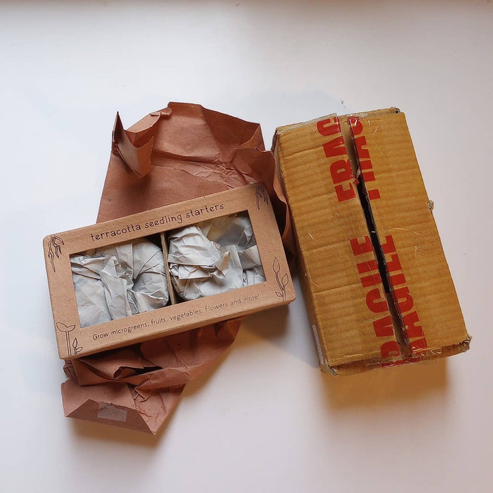 Ten Thousand Villages - Bija Floral Seed Sprouter Set