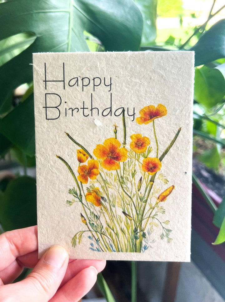 Marissa Kay Apothecary - Plantable Seed Card || Zero Waste || Supports Women MVW48